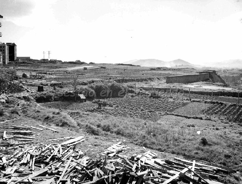 Terreno Antiguo Amor misericordioso.jpg